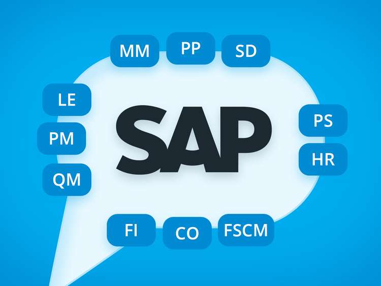sap modules for online stores