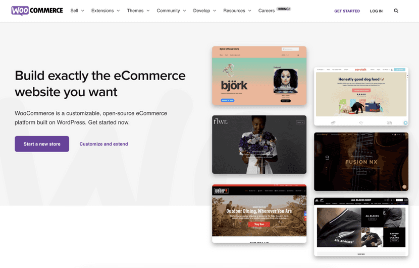 Strona główna platformy sprzedażowej WooCommerce