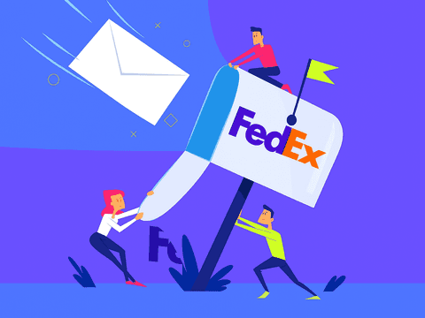 fedex operational delay