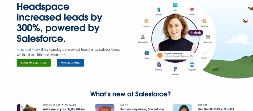 salesforce tool for online store and customer interaction
