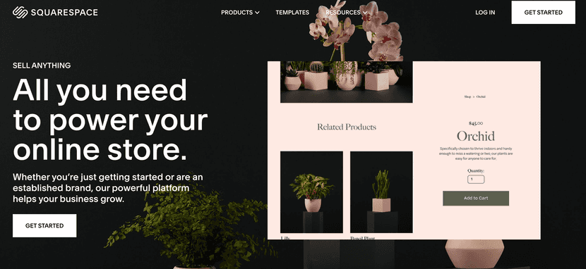 ecommerce platform squarespace